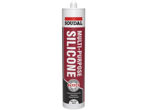 Silicone